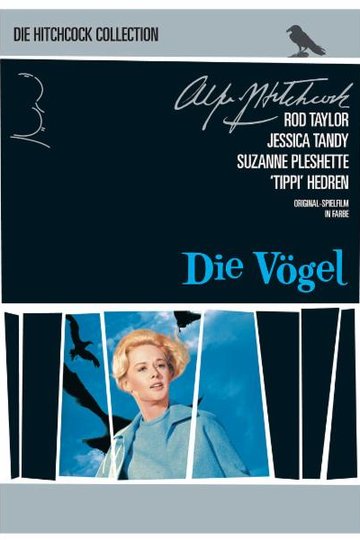 Poster Die Vögel