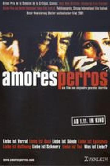 Amores perros