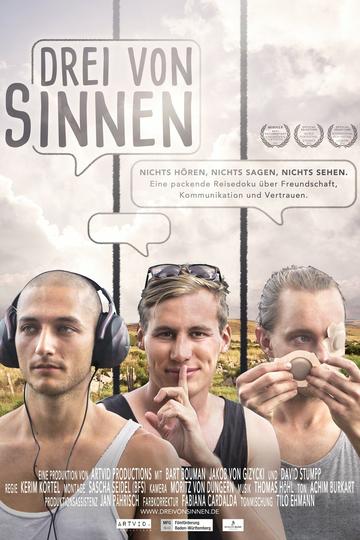 Poster Drei von Sinnen