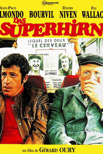 Das Superhirn