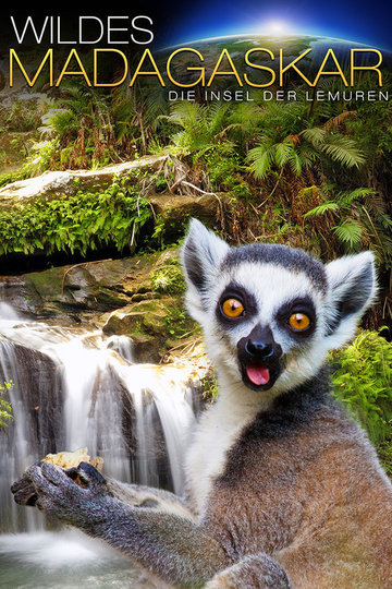 Poster Insel der Lemuren - Madagascar