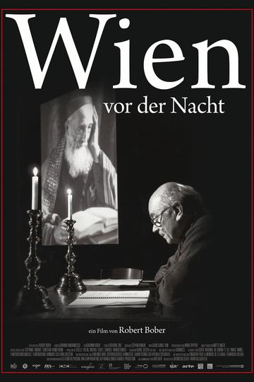 Wien vor der Nacht