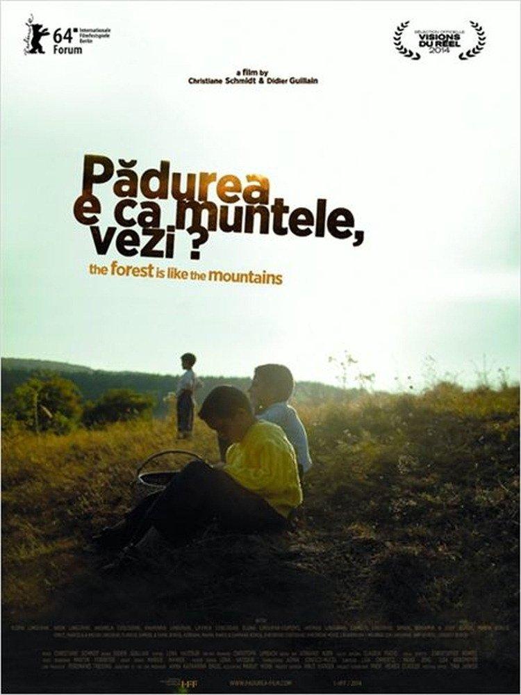 Der Wald ist wie die Berge