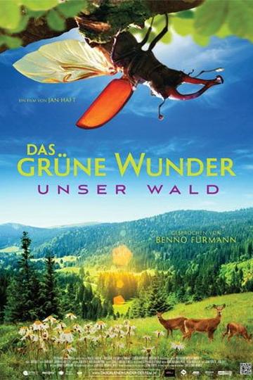 Poster Das grüne Wunder - Unser Wald