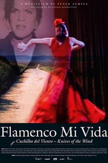 Flamenco Mi Vida Poster Flamenco Mi Vida