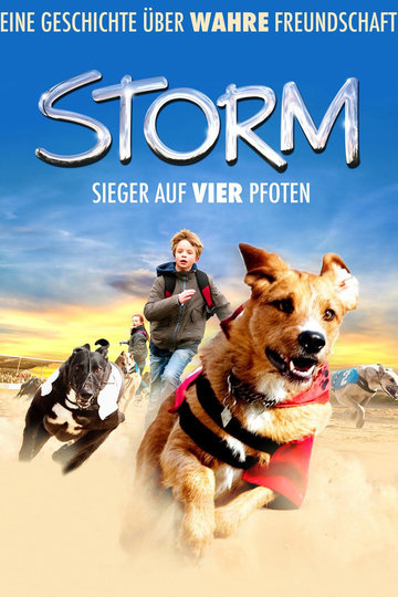 Poster Storm