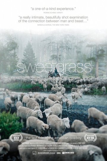 Poster Sweetgrass