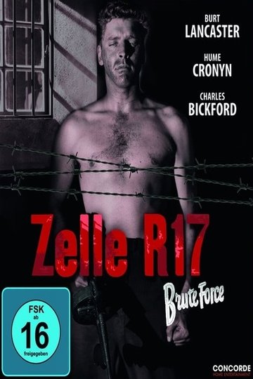 Poster Zelle R 17