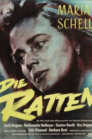 Poster Die Ratten