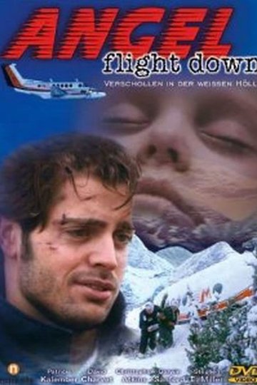 Poster Angel Flight Down