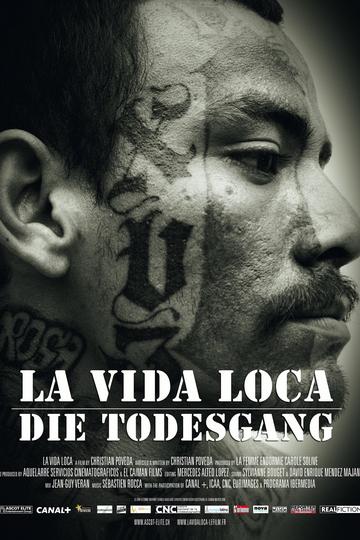 La Vida Loca