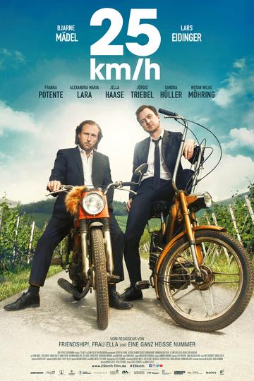 25 km/h