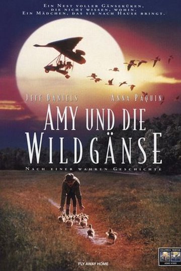Amy und die Wildgänse