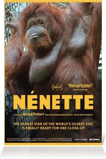 Nénette Poster Nénette