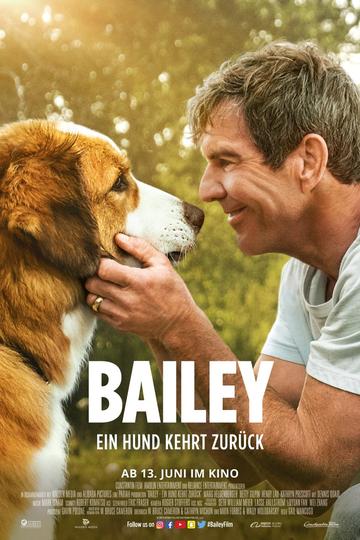 Poster Bailey - Ein Hund kehrt zurück