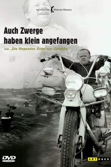 Auch Zwerge haben klein angefangen