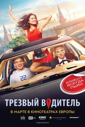 Poster Sober Driver