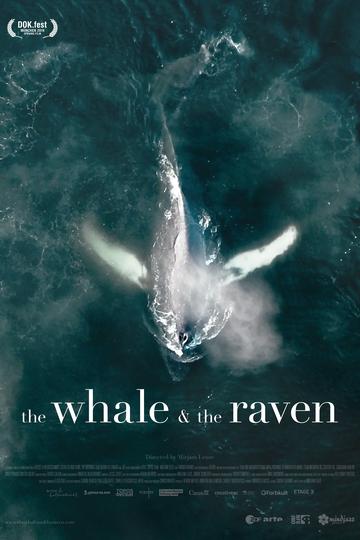 Poster The Whale and the Raven