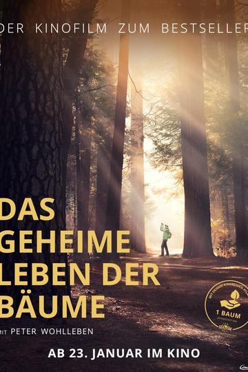 Poster Das geheime Leben der Bäume