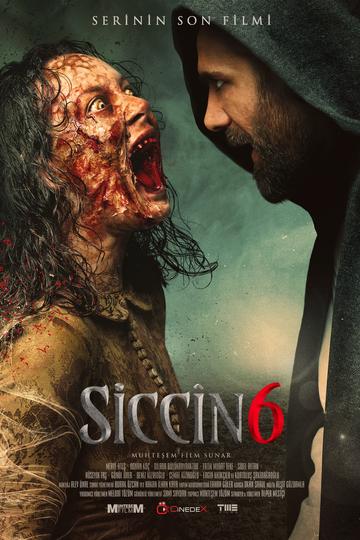 Poster Siccin 6