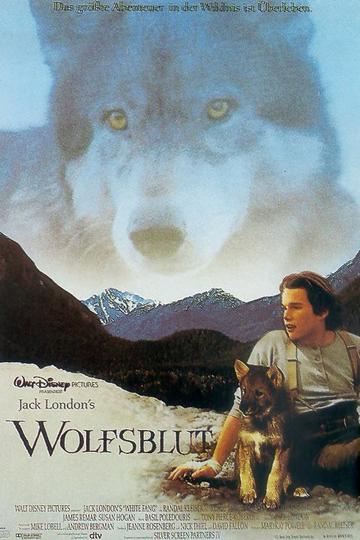 Wolfsblut