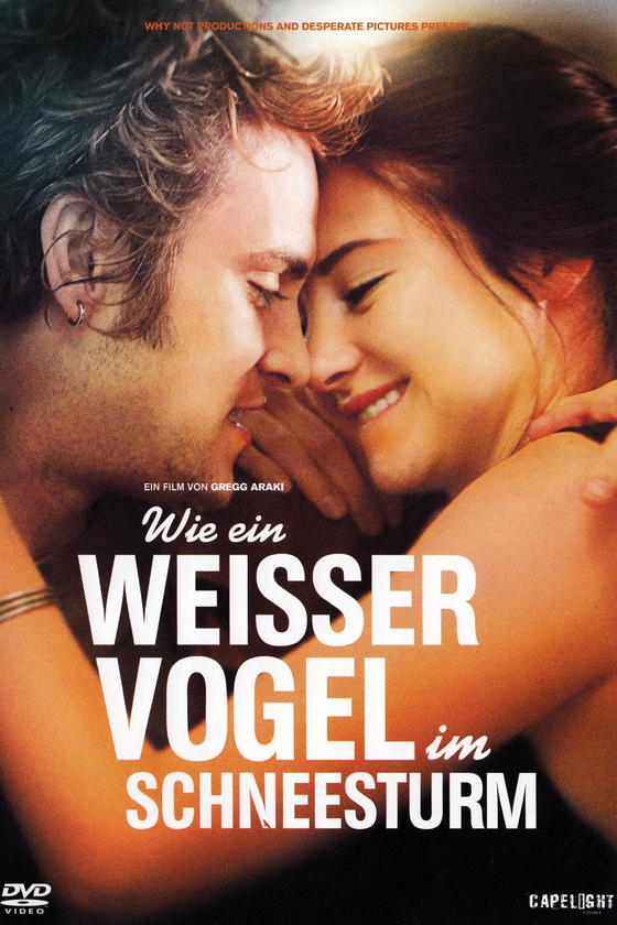 White Bird in a Blizzard