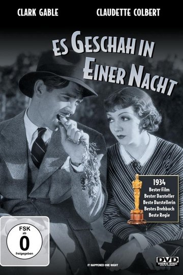 Es geschah in einer Nacht
