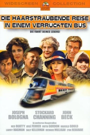 Die haarsträubende Reise in einem verrückten Bus