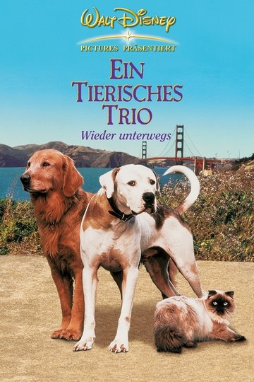 Poster Ein tierisches Trio - wieder unterwegs
