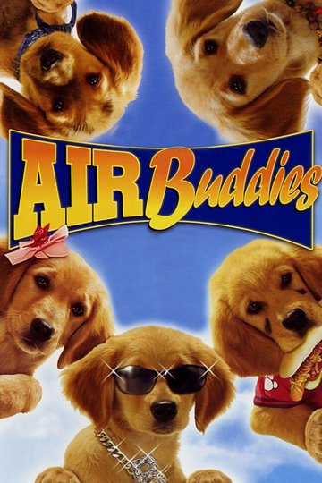 Poster Air Buddies