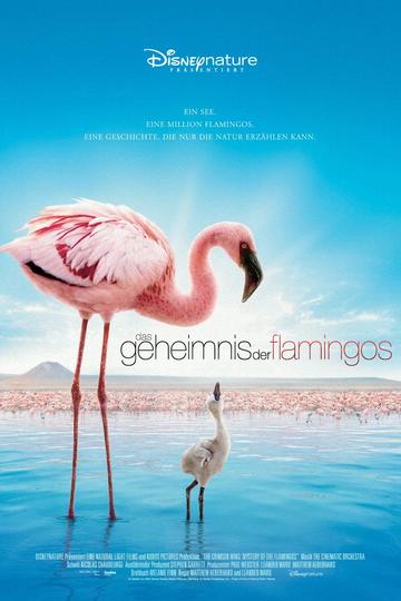 Das Geheimnis der Flamingos