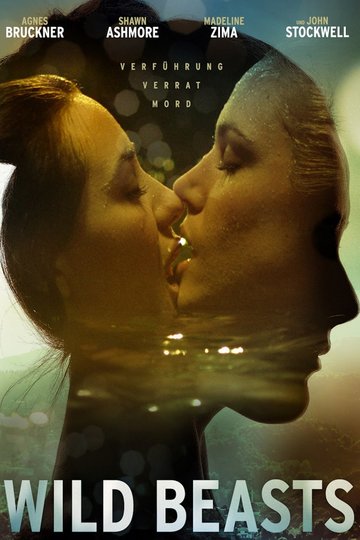 Poster Breaking the Girls