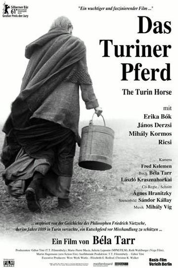 Poster Das Turiner Pferd