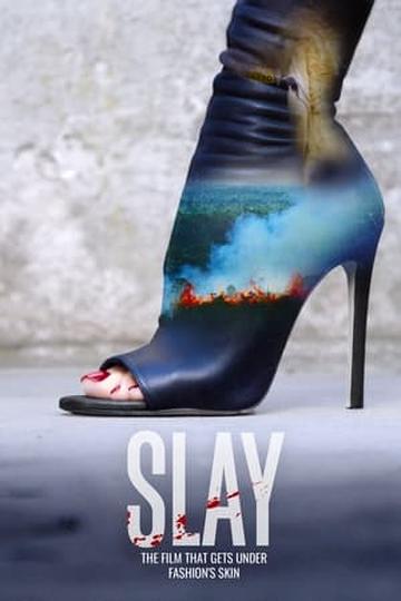 Poster Slay