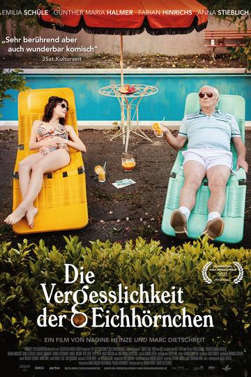 Poster Die Vergesslichkeit der Eichhörnchen