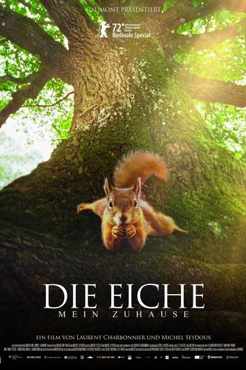 Poster Die Eiche - Mein Zuhause