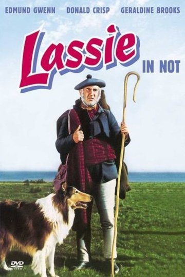Challenge to Lassie