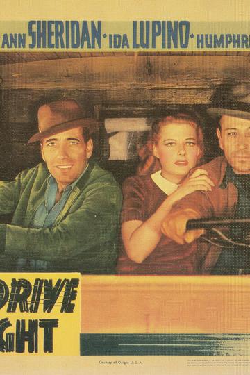 They Drive by Night