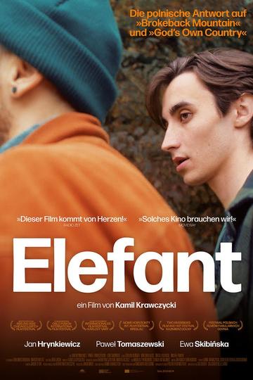 Poster Elefant