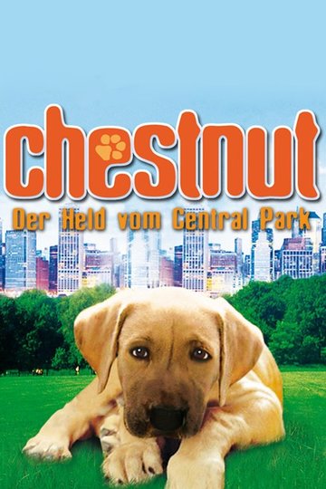 Chestnut - Der Held vom Central Park