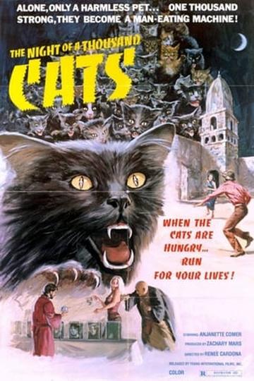 Poster La noche de los mil gatos