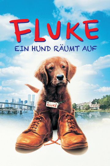 Fluke