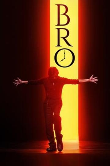 Bro Poster Bro