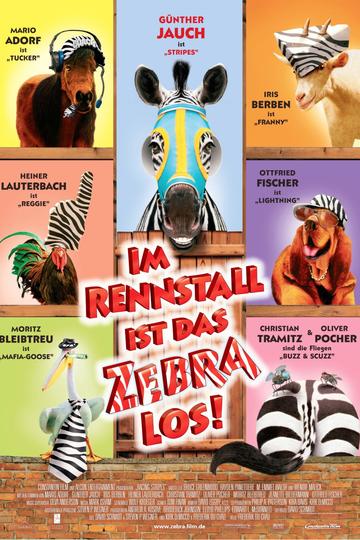Poster Im Rennstall ist das Zebra los!