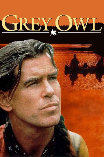 Poster Grey Owl