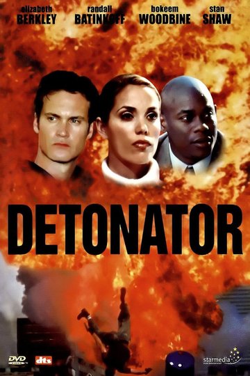 Detonator