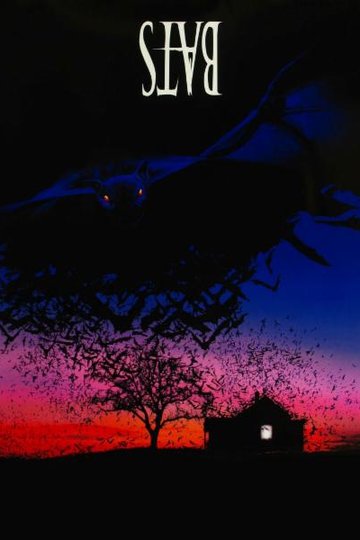 Bats - Fliegende Teufel