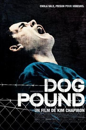 Poster Dog Pound