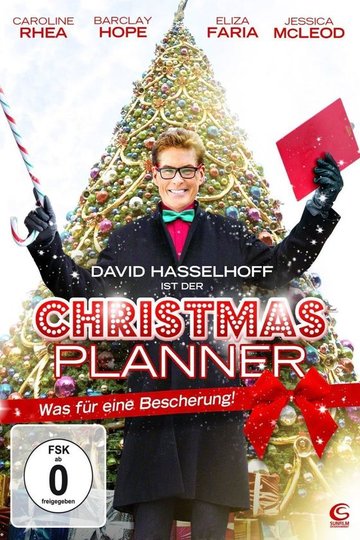 The Christmas Consultant