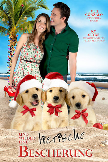 3 Holiday Tails Poster 3 Holiday Tails